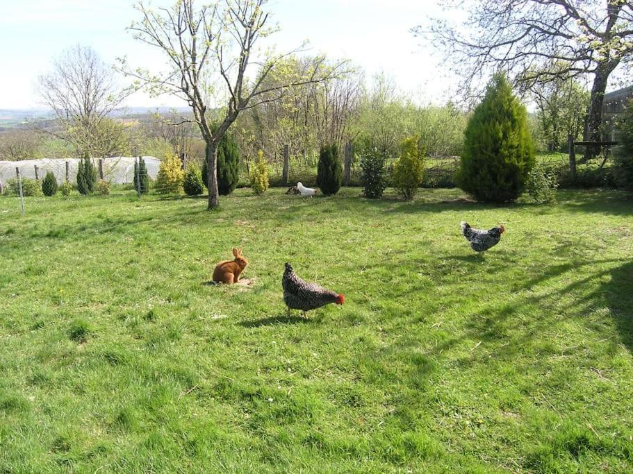 Les Jardins Des 3 Provinces- Gite Montcharvot Luaran gambar