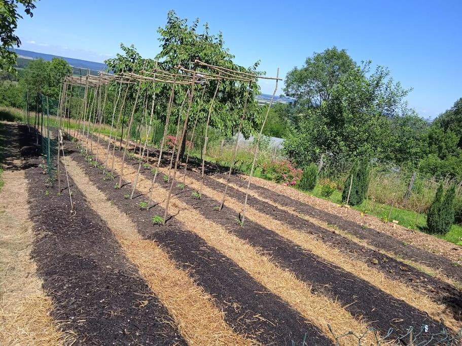 Les Jardins Des 3 Provinces- Gite Montcharvot Luaran gambar