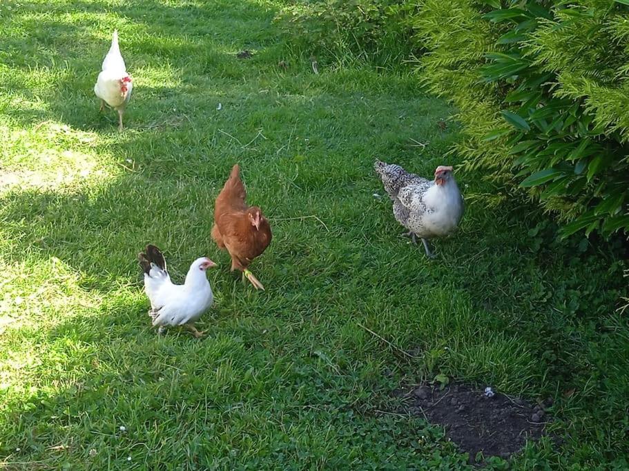 Les Jardins Des 3 Provinces- Gite Montcharvot Luaran gambar