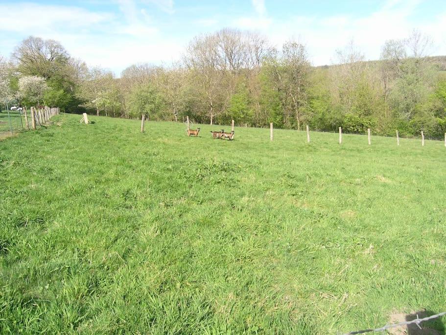 Les Jardins Des 3 Provinces- Gite Montcharvot Luaran gambar