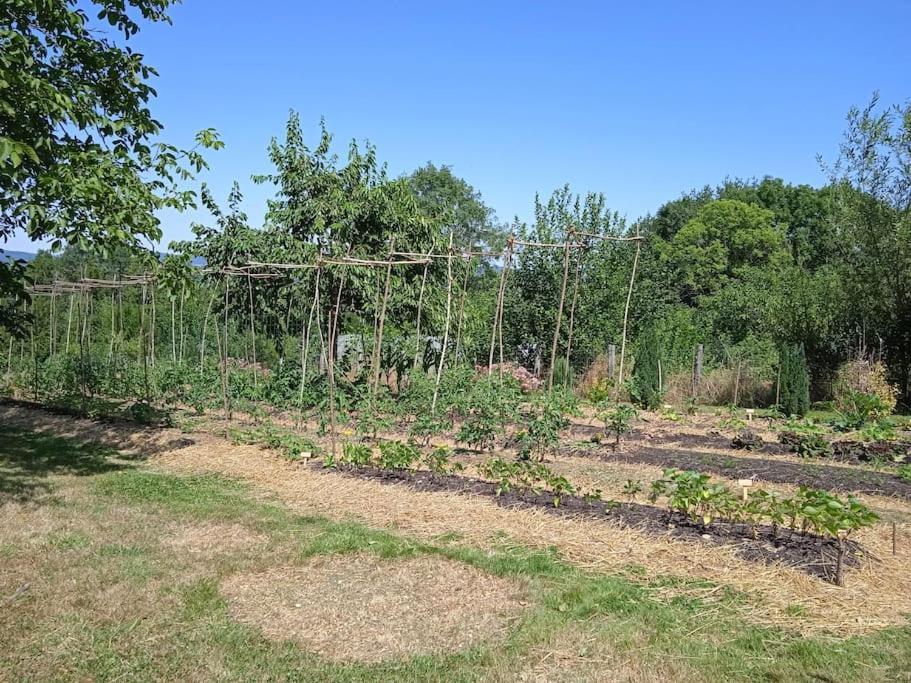 Les Jardins Des 3 Provinces- Gite Montcharvot Luaran gambar