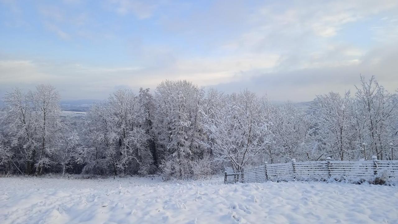 Les Jardins Des 3 Provinces- Gite Montcharvot Luaran gambar